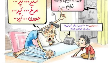 شورای عالی کار