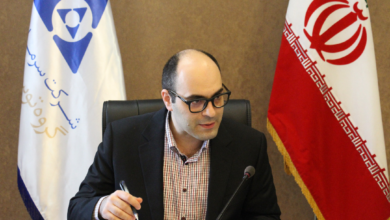 مدیرعامل گروه توسعه ملی