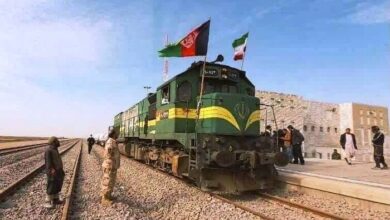 جهش تولید