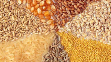 تخصیص ارز