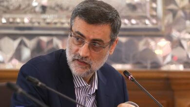 نماینده مجلس