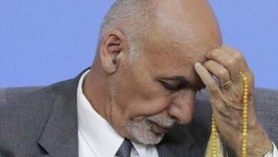 آمریکا