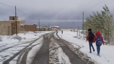هواشناسی