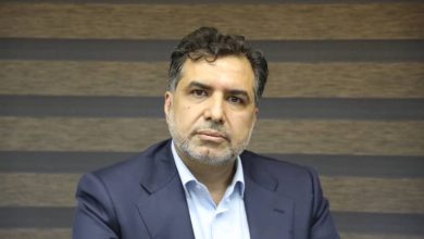 مدیرعامل شرکت گسترش سرمایه گذاری ایران خودرو