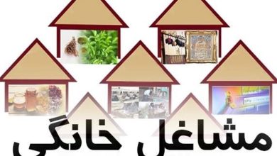 مشاغل خانگی در صدر درخواست ثبت مجوز