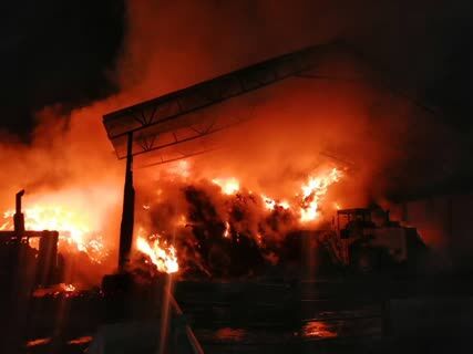 آتش سوزی دامداری در فشافویه ری