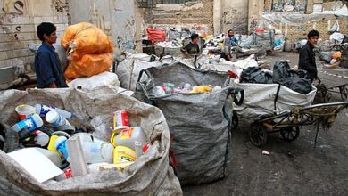زباله جمع‌ کن‌ های‌ پورشه‌ سوار در صباشهر