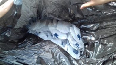 کشف ۲۰ هزار ماسک غیربهداشتی و تقلبی در قرچک/یک نفر متهم دستگیر شد