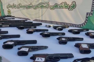 باند قاچاق سلاح و مهمات غیرمجاز در بهارستان متلاشی شد