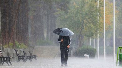 کاهش دما و احتمال یخبندان شبانه تا پنج شنبه در پایتخت