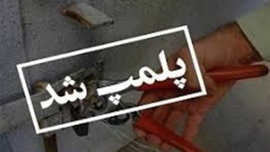 کشف ۹۷ هزار کیلوگرم اقلام غیربهداشتی دامی در قرچک