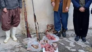 شکارچیان غیرمجاز حیات‌وحش منطقه انز‌های فشکارچیان غیرمجاز حیات‌وحش منطقه انز‌های فیروزکوه دستگیر شدندیروزکوه دستگیر شدند