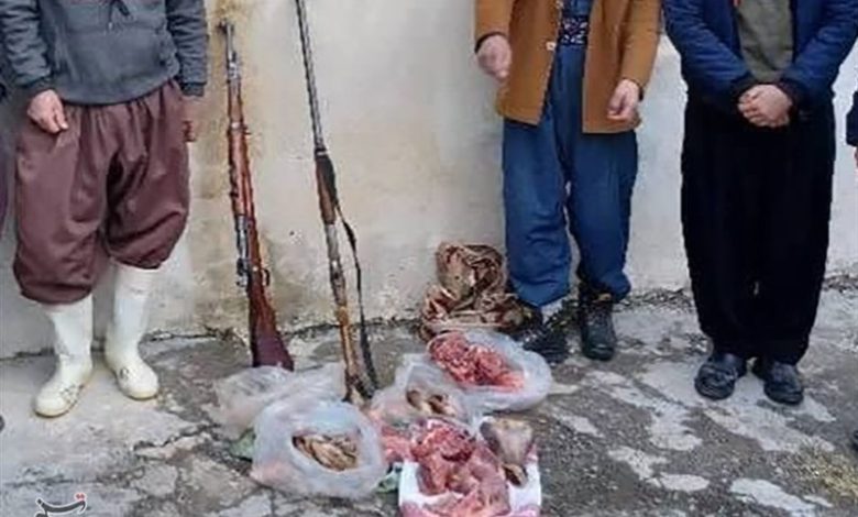 شکارچیان غیرمجاز حیات‌وحش منطقه انز‌های فشکارچیان غیرمجاز حیات‌وحش منطقه انز‌های فیروزکوه دستگیر شدندیروزکوه دستگیر شدند