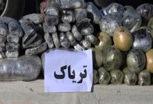 کشف ۱۱ کیلو تریاک و دستگیری یک قاچاقچی در اسلامشهر