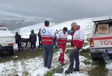 عشایر ۷ شهرستان آذربایجان شرقی درگیر برف شدند/تلف شدن ۲۵۰ راس دام سبک
