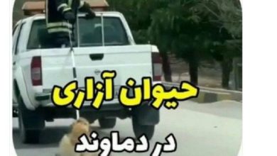 دستگیری فرد حیوان‌آزار در دماوند