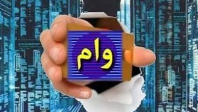 وزارت اقتصاد: حدود ۲ میلیون نفر بدون ضامن وام گرفتند