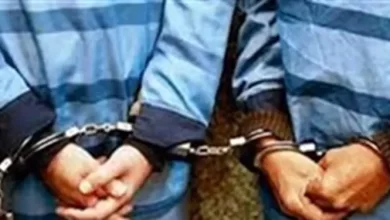 سارق و مالخر ۵ تُن ضایعات ری دستگیر شدند