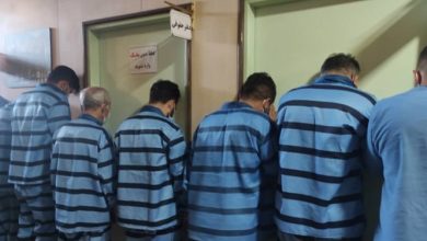 دستگیری 300 سارق و کشف 453 فقره سرقت در پردیس