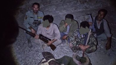۳ شکارچی غیرمجاز در کوه سفید دماوند دستگیر شدند