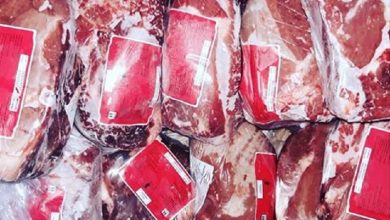 محموله ۲۰۰ تنی گوشت پس از یک‌سال معطلی در گمرک بندرعباس ترخیص شد
