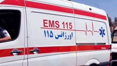حریق کارخانه مبل سازی در پردیس/۳ آتش نشان مصدوم شدند