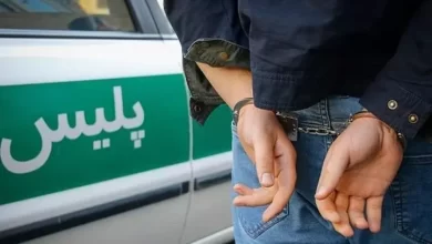 باند سارقان خودرو در شهرری منهدم شد