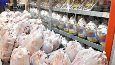 افزایش سرسام آور قیمت مرغ در بازار