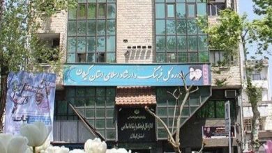 عضو کمیسیون امنیت ملی مجلس