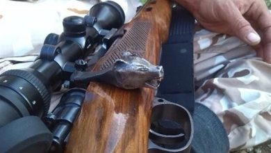 سرپرست اداره حفاظت از محیط زیست شمیرانات خبر داد؛ دستگیری ۳ شکارچی غیر مجاز در منطقه حفاظت شده «ورجین»