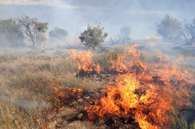 فرماندار فیروزکوه: حریق در اراضی روستای «کمند» فیروزکوه‌ مهار شد