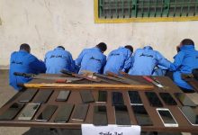 ۱۷۳ مالخر و سارق در شهرستان ری دستگیر شدند