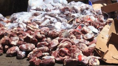 30 تن گوشت فاسد در ری کشف شد