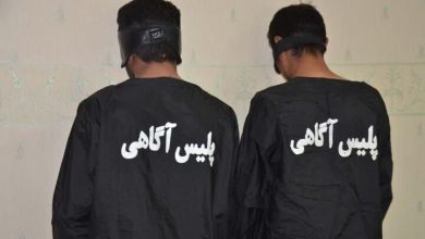 فرمانده انتظامی بهارستان: ۲ عامل اصلی ایجاد رعب و وحشت در سلطان آباد دستگیر شدند