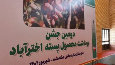 سفر استاندار تهران به ملارد/جشن برداشت پسته برگزار شد