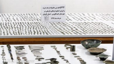 فرمانده انتظامی ری خبر داد؛ کشف ۱۹۰ قطعه اشیای عتیقه مربوط به عصر آهن در شهرری