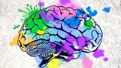 روانشناسی و شخصیت شناسی افراد از روی رنگ‌ها