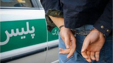 سرقت موبایل از رانندگان تاکسی اینترنتی؛ سارق جوان به ۱۰ مورد اعتراف کرد