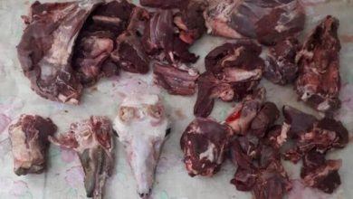 کشف و ضبط مقادیری گوشت شکار غیرمجاز در شهریار