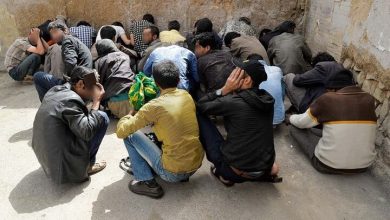 ۶۳ معتاد متجاهر در بهارستان جمع آوری شدند