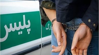 سارق مامورنما در «سبزدشت» بهارستان دستگیر شد