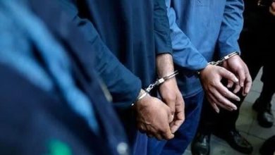 ۴ نفر از عوامل نزاع و درگیری در ملارد دستگیر شدند