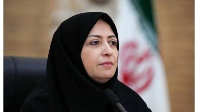 با حکم پزشکیان شینا انصاری رئیس سازمان حفاظت محیط زیست شد