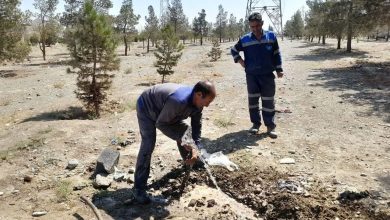 انشعابات غیرمجاز پارکینگ طبقاتی اندیشه جمع آوری شد