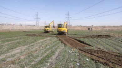 تخریب زمین‌های زراعی شهریار به‌دلیل آبیاری با فاضلاب