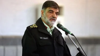 رادان:اتباع غیرمجاز میهمان ما نیستند و به سرعت از کشور اخراج می شوند