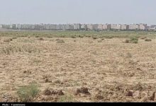 زخم آرامستان جدید تهران بر قلب کشاورزی نسیم‌شهر