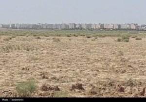 زخم آرامستان جدید تهران بر قلب کشاورزی نسیم‌شهر