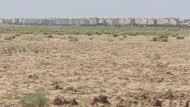 زخم آرامستان جدید تهران بر قلب کشاورزی نسیم‌شهر
