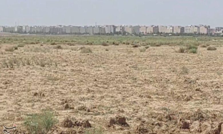زخم آرامستان جدید تهران بر قلب کشاورزی نسیم‌شهر